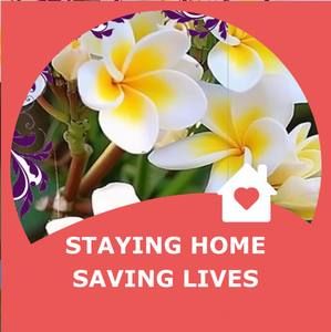 Meet your Posher, Alofa